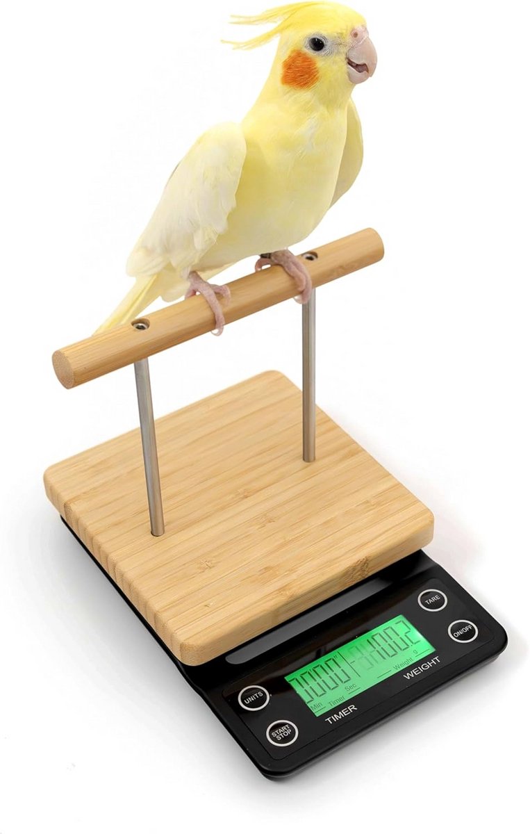 Vogelweegschaal met Zitstok voor Papegaai, Kanarie en Parkiet