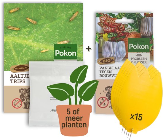 Pokon Trips Bestrijding Pakket - Aaltjes voor meer dan 5 planten & 15 Bio Vangplaatjes...