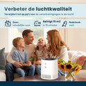 Product afbeelding  13