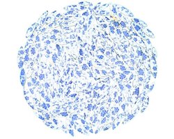 Keramische Mosaïektegels in Bladvorm - DIY Decoratie voor Badkamers, Woonkamers, Keukens en Tuinen