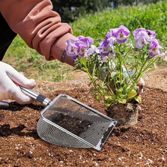 Handen met handschoenen planten een struik met paarse bloemen, met een zeefschep gevuld met aarde ernaast.