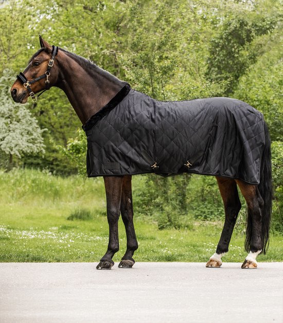 Waldhausen Licol exclusif Cob Zwart / Zwart