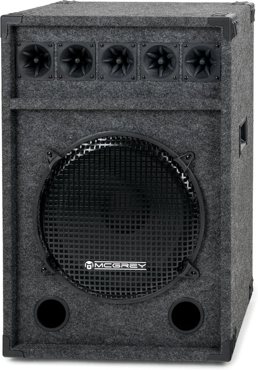 Krachtige Loudspeaker met 38cm Woofer en Houten Behuizing voor Feesten en Evenementen
