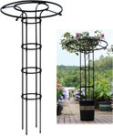 Een zwarte metalen obelisk klimrek, in een tuin met planten.