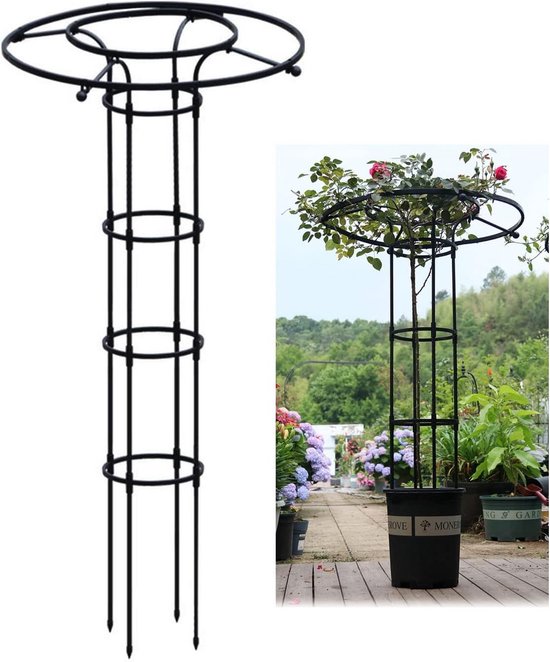 Een zwarte metalen obelisk klimrek, in een tuin met planten.