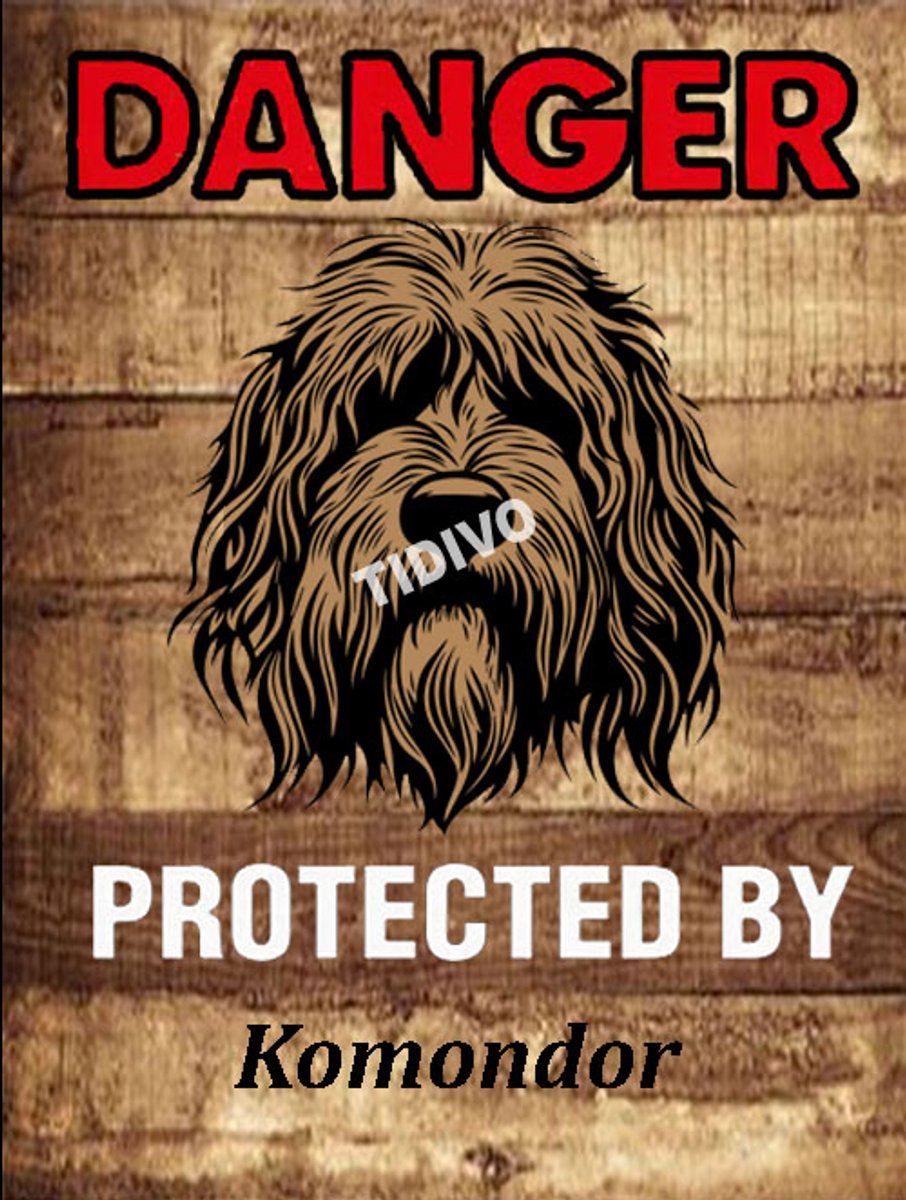 Komondor 19