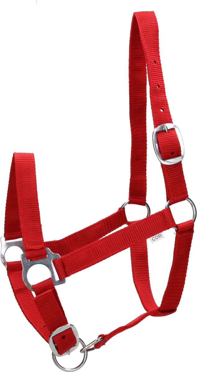 Barato Halfter Barato Basic Rood