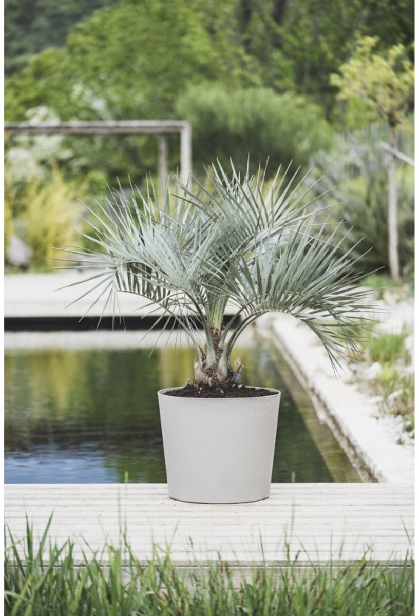 EDA – 022058 G.CA SX2 – Conische plantenpot – Ø57,5 cm – 100 L