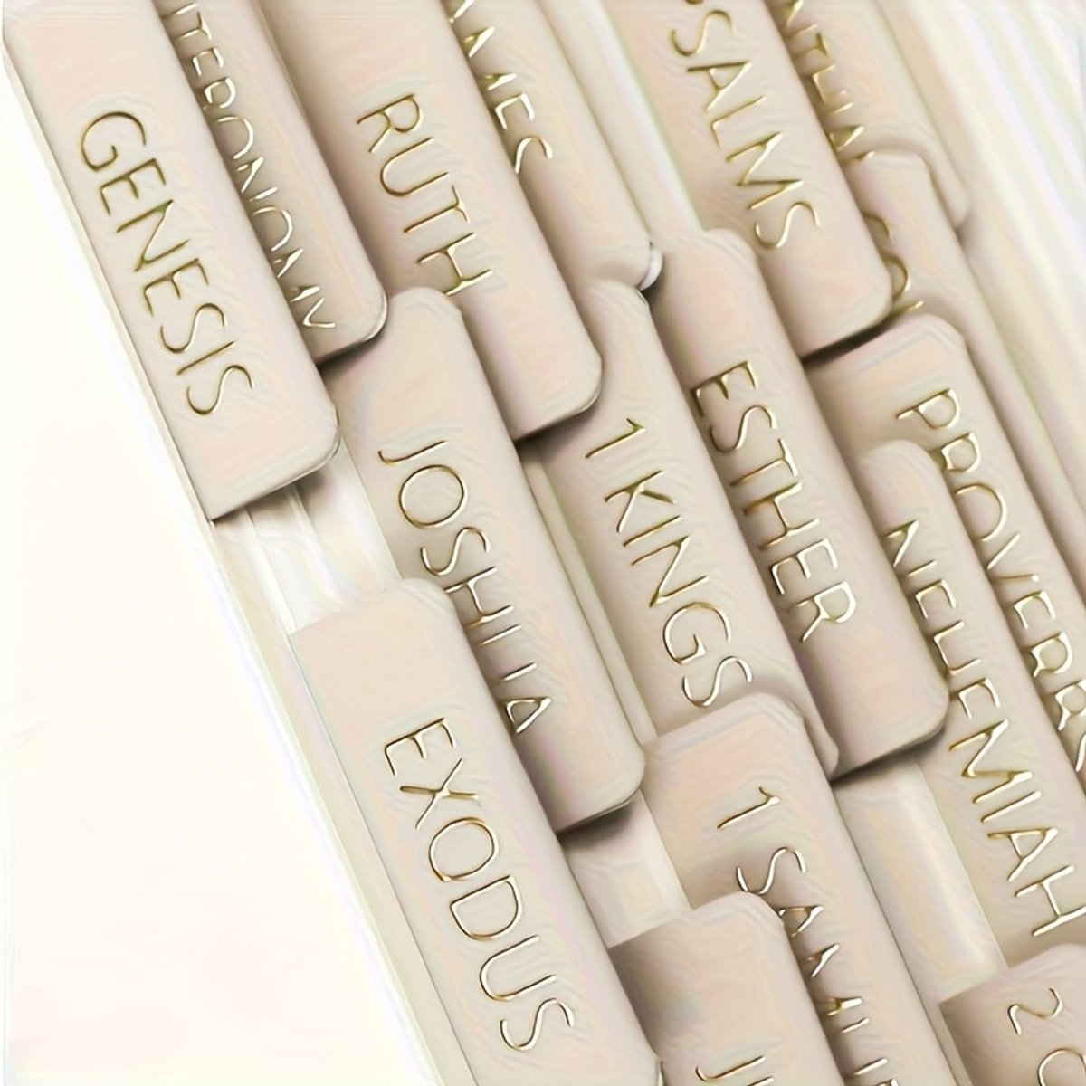 Bijbel tabbladen – Tabs voor alle bijbelboeken – Grijs met gouden letters – 1 set