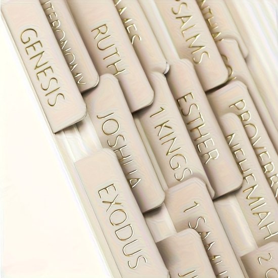 Bijbel tabbladen – Tabs voor alle bijbelboeken – Grijs met gouden letters – 1 set