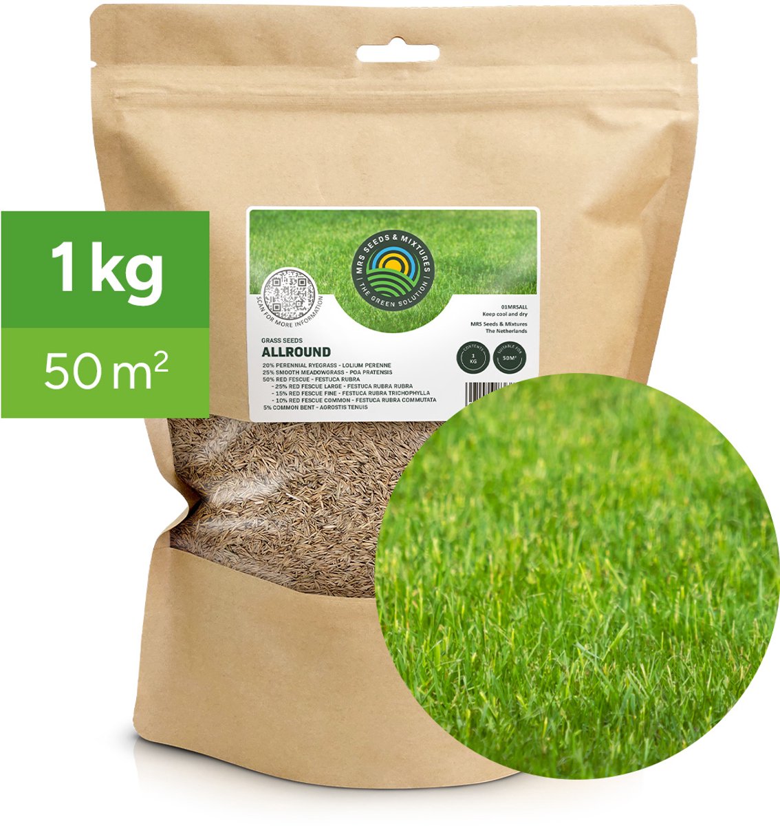 Allround: Graszaad Universeel Recreatiegazon - 1 kg voor 50 m² - Vlotte kieming en vestiging - Diepe en sterke beworteling - Bestand tegen schaduw en droogte