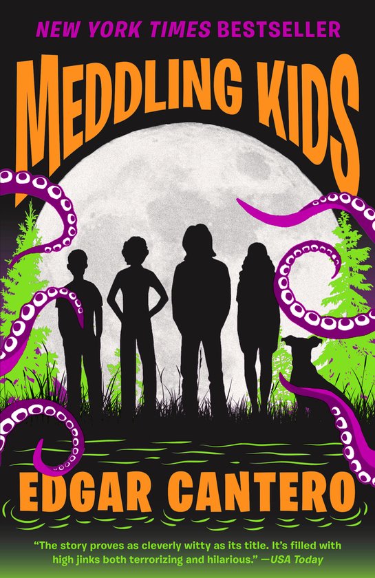 Meddling Kids - cover
