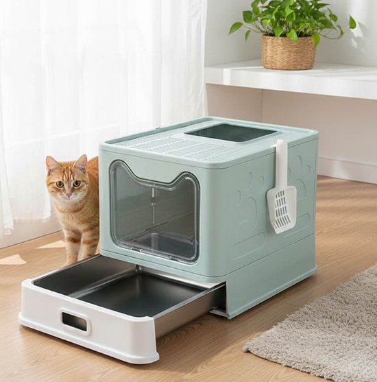 Lichtgroene kattenbak met lade, venster en een oranje kat ernaast.