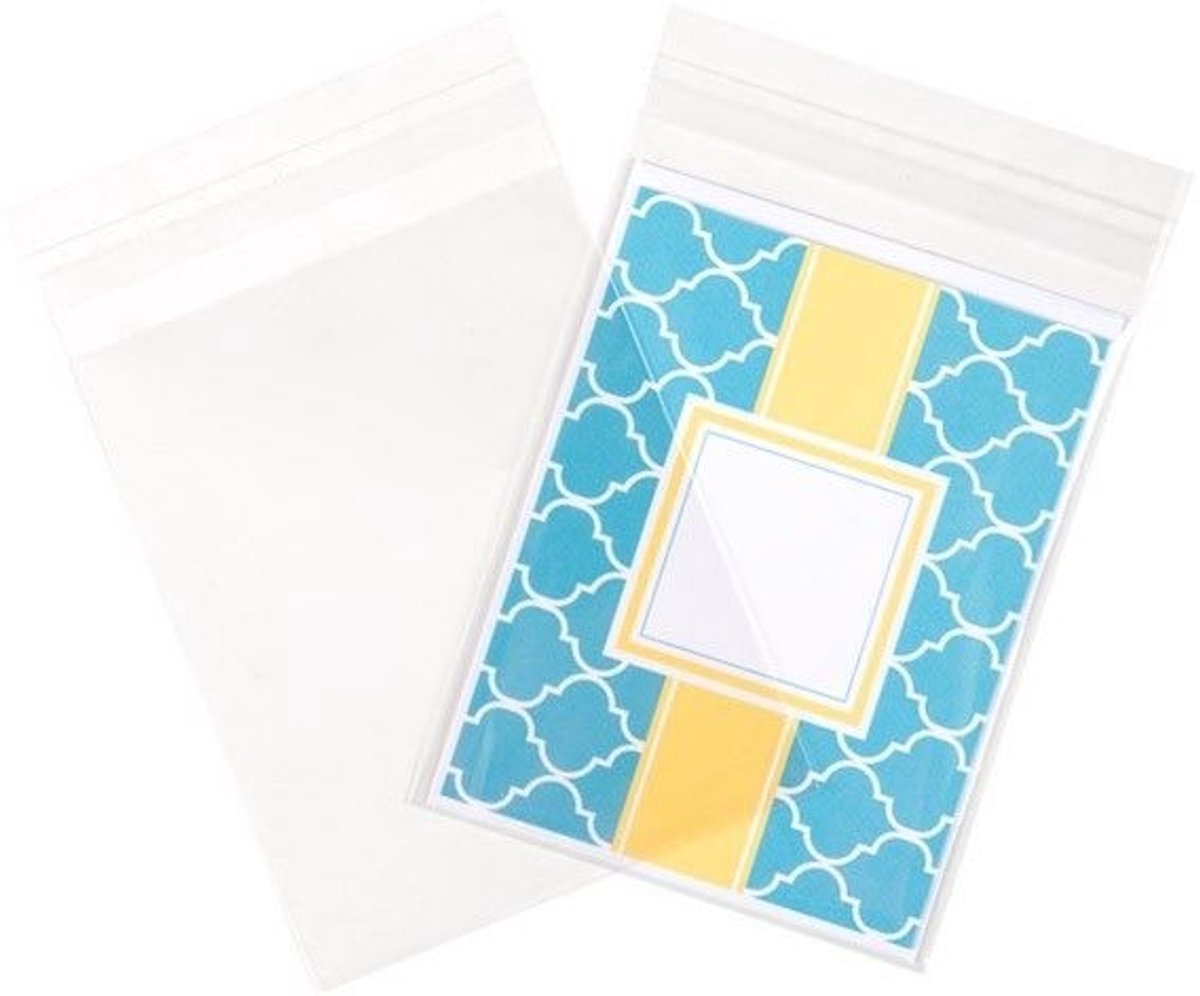 Plastic Zakken 17,3x12,7cm Transparant en Hersluitbaar (100 stuks) | Plastic zak