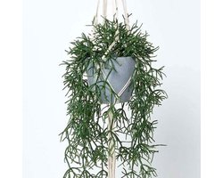Lange Kunstplant in Hangmand met Macramé Touw voor Binnen Decoratie