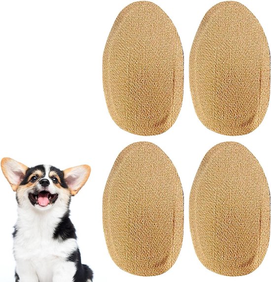 Zo maak je hondenoren schoon - Alles over honden Zo maak je hondenoren schoon - Alles over honden