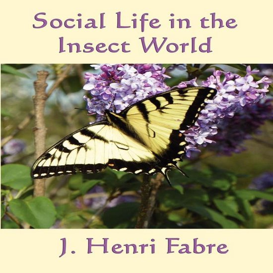 Social Life in the Insect World - cover