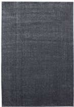 Tapis Basics Uni Grijs à poils ras - 80x150 CM