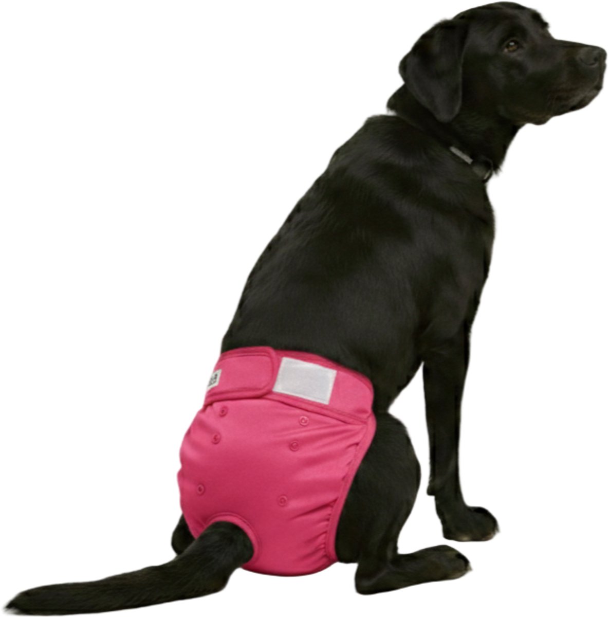 Loopsheidbroekje hond - roze - maat XL - voor grote teefjes - herbruikbaar - hondenbroekje - hondenluier - loopsheid - ongesteldheid - voorkomt ongewenste zwangerschappen bij teefjes - milieuvriendelijk - verantwoord - perfecte pasvorm
