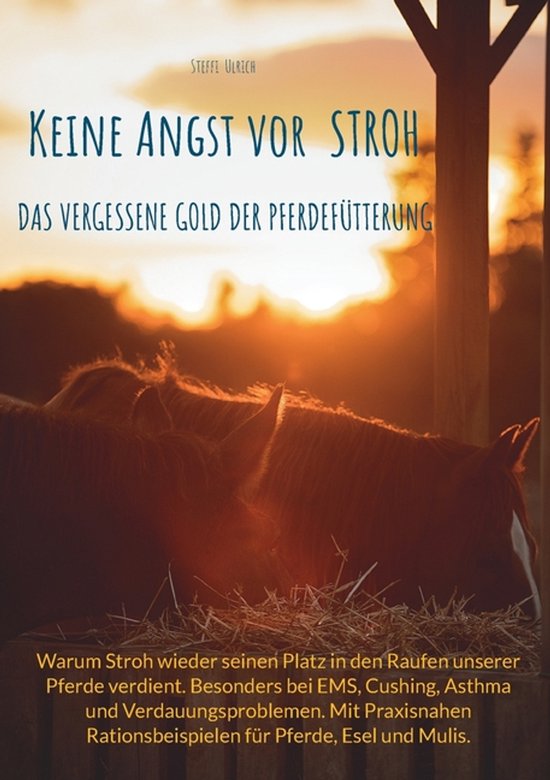 Keine Angst vor Stroh - cover