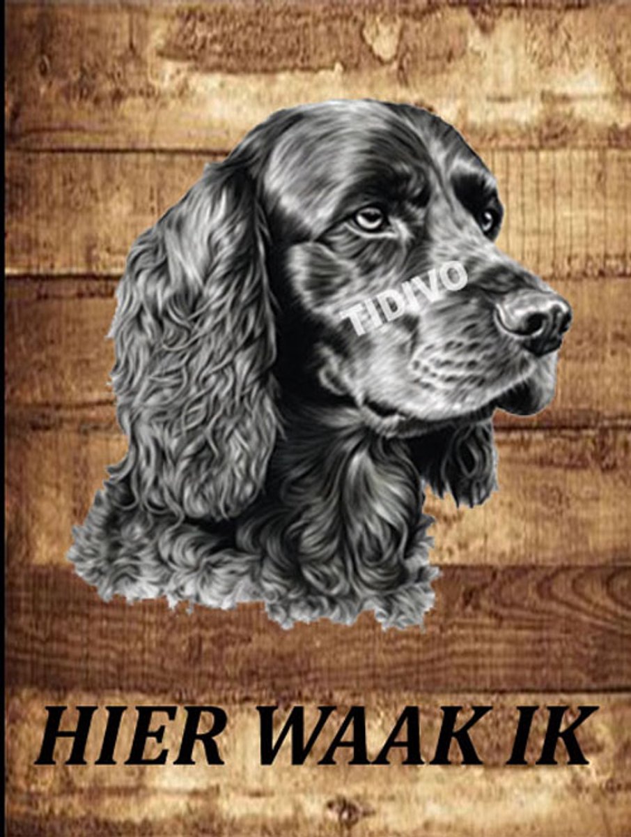 Engelse Cocker Spaniel 20