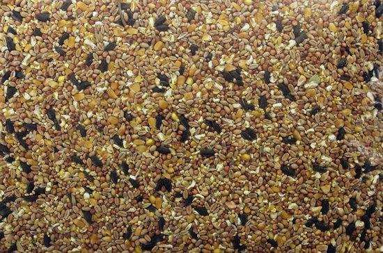 Vogelvoer - Zaden mix - 700gram