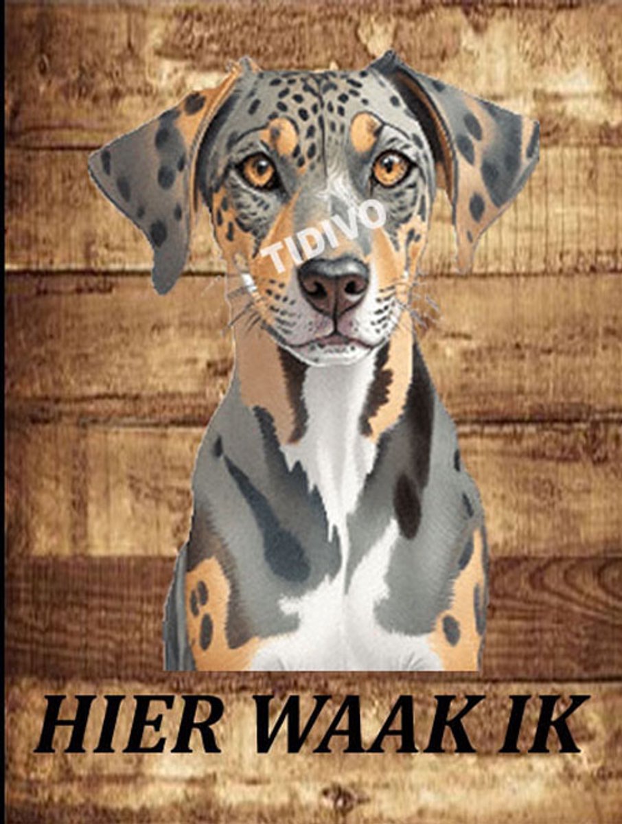 Catahoula Leopard Dog 20