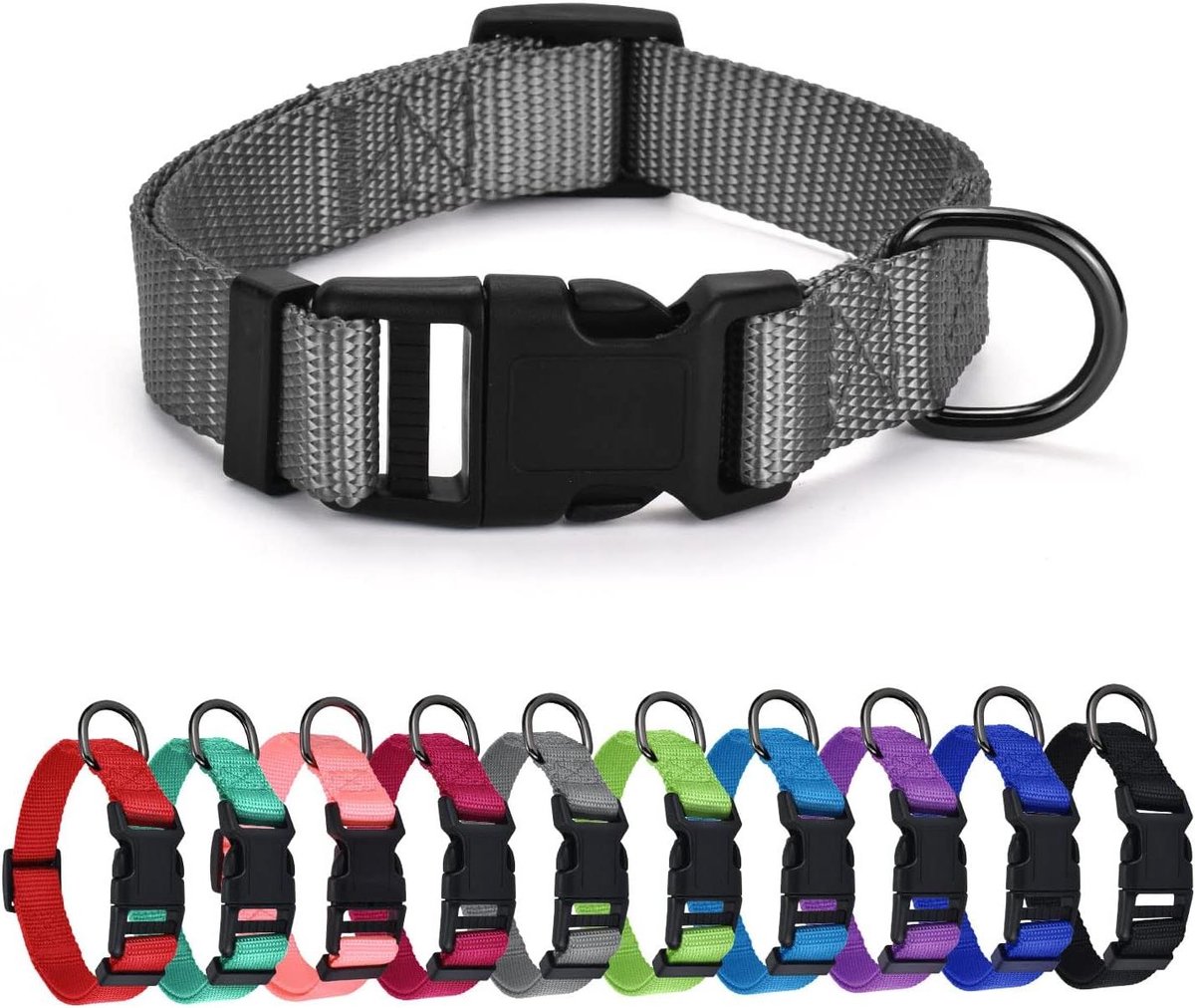 Cosensi - Nylon hondenriem met klassieke verstelbare kraag in diverse kleuren, geschikt voor kleine, middelgrote en grote honden, verkrijgbaar in 4 maten.