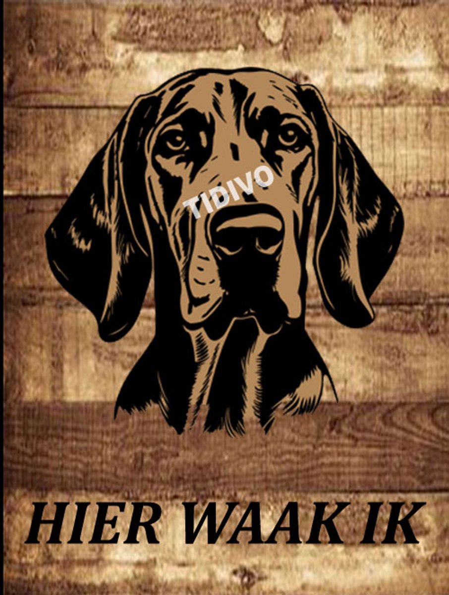 Redbone Coonhound 20