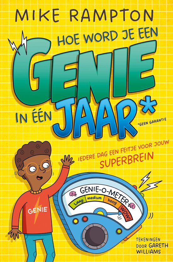 Hoe word je een genie in één jaar - cover