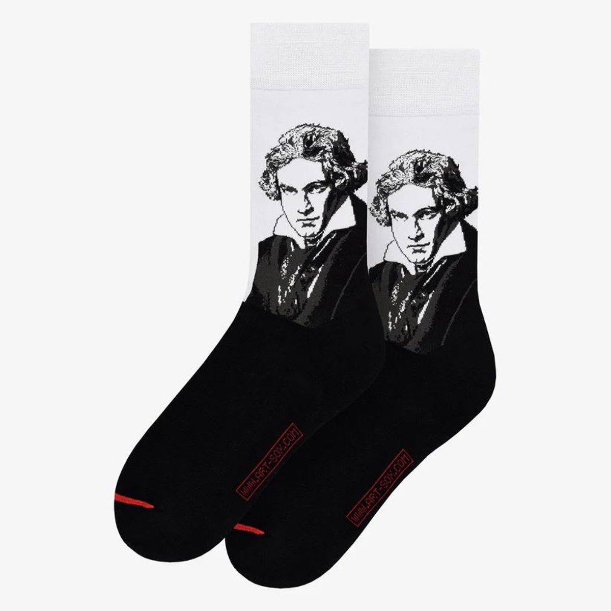 Joseph Karl Stieler - Ludwig van Beethoven 36-40