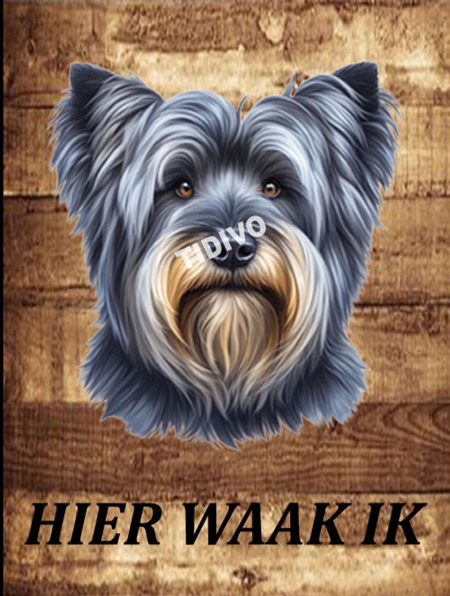 Skye Terrier 20