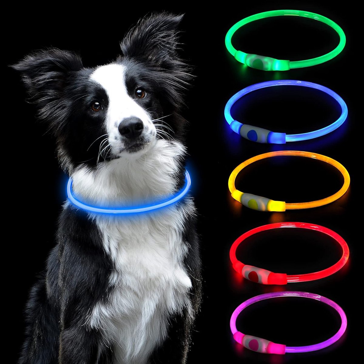 LED Honden- en Kattenband - USB Oplaadbare Veiligheidsband - Verstelbaar en Afsnijdbaar, 3 Lichtstanden - Voor Nachteilijke Wandelingen - Licht Halsband - blauw -1 Stuk