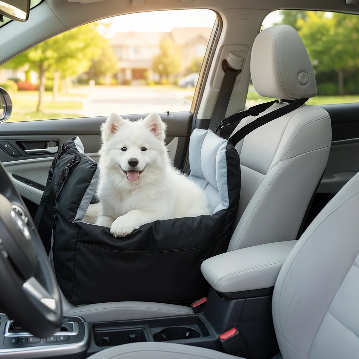 BingoPaw Hondenautostoel voor kleine tot middelgrote honden - Verwijderbare, wasbare, zachte hondenstoel - Draagbare hondenautostoel met veiligheidsgordel - Hondenbed voor autoreizen, achterbank, voorbank, zwart