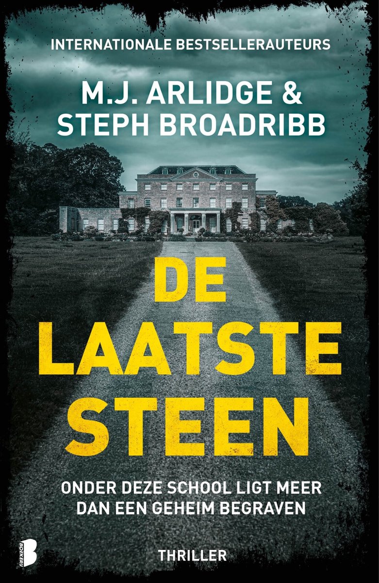 Omslag van De laatste steen