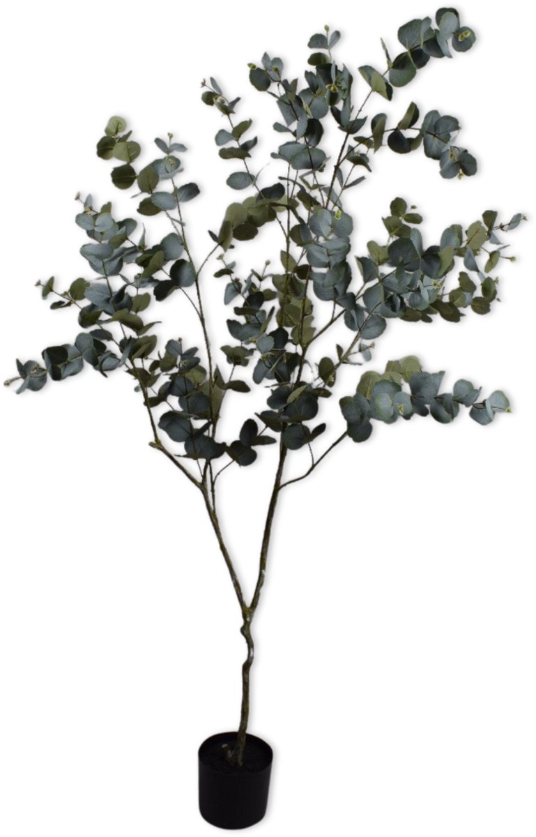 Silk-ka Kunstplant voor Binnen Eucalyptus Groen 182 cm