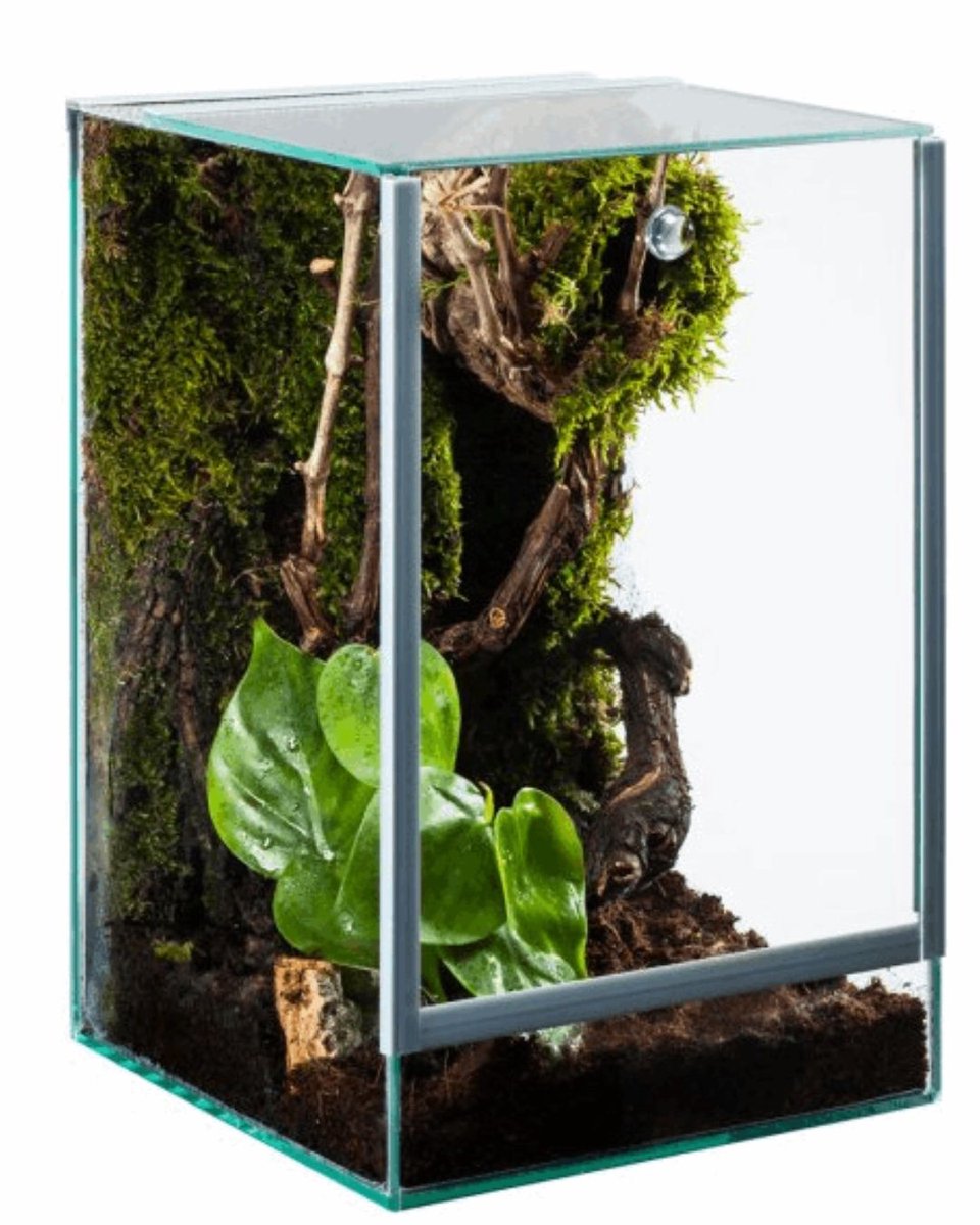 Terrarium 15x15x20 cm - Glazen Terrarium met Ventilatierooster - Terrarium voor Spinnen, Insecten en Exotische Dieren - 4,5 Liter