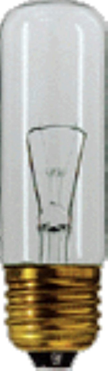 Philips Buislamp 40W E27 Helder
