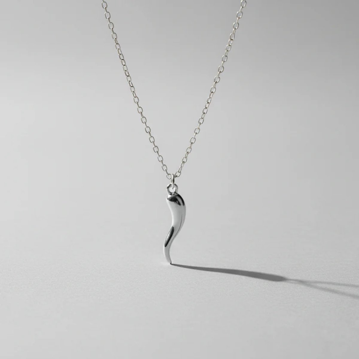 Ketting zilverkleurig – Peper bedel – Stainless steel dames ketting – SK Sieraden