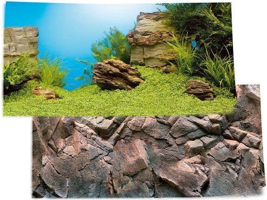 Juwel Poster Aquarium Achterwand - 100 x 50 cm