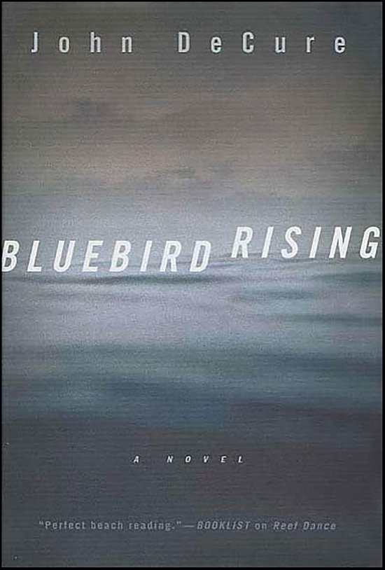 J. Shepard Mysteries 2 - Bluebird Rising - cover