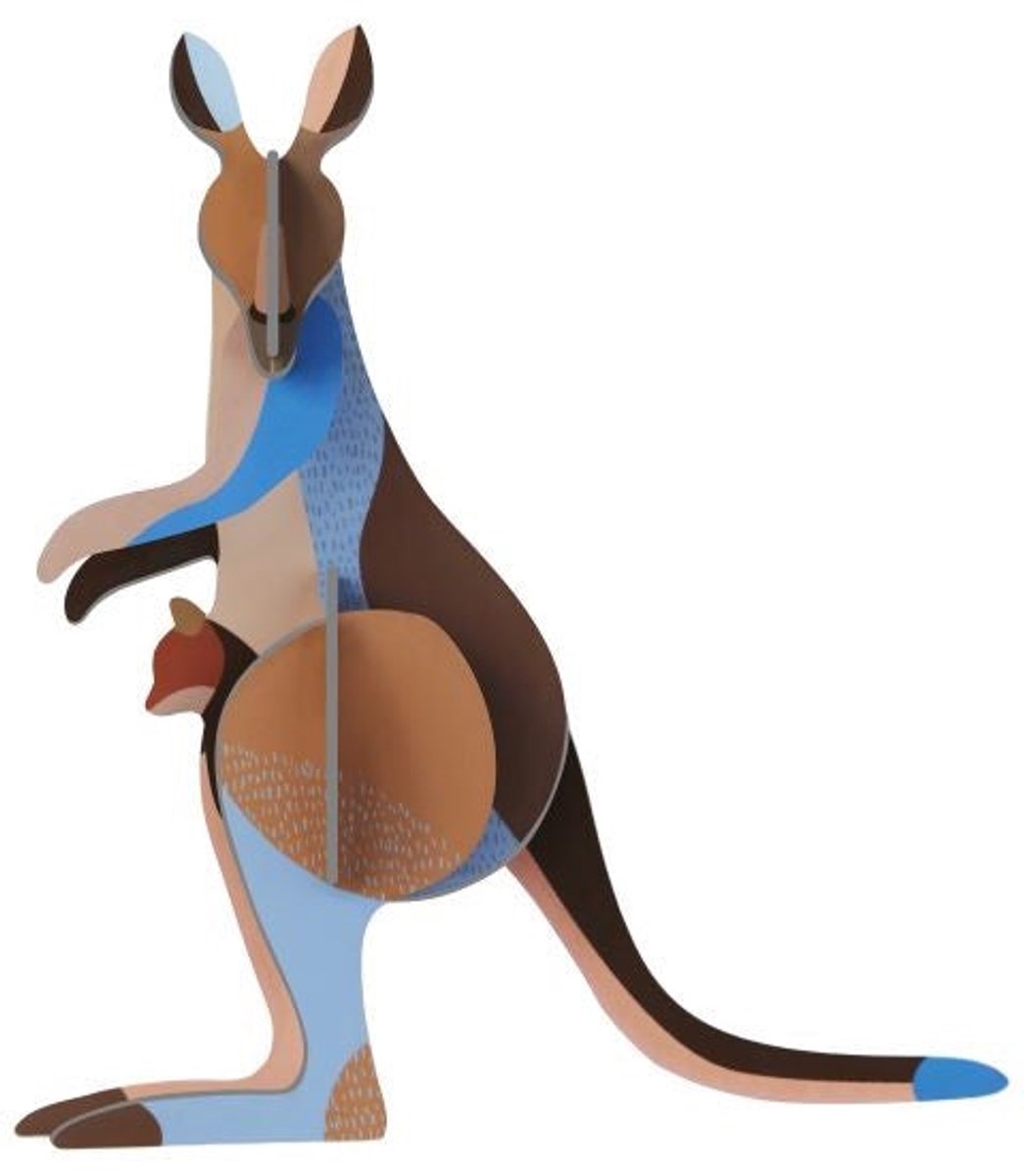 Wild Animals - Kangaroo