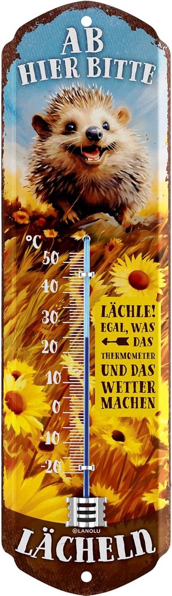 Metalen Buitenthermometer met Egel Decoratie - Tuinthermometer Analoog 8x28 cm
