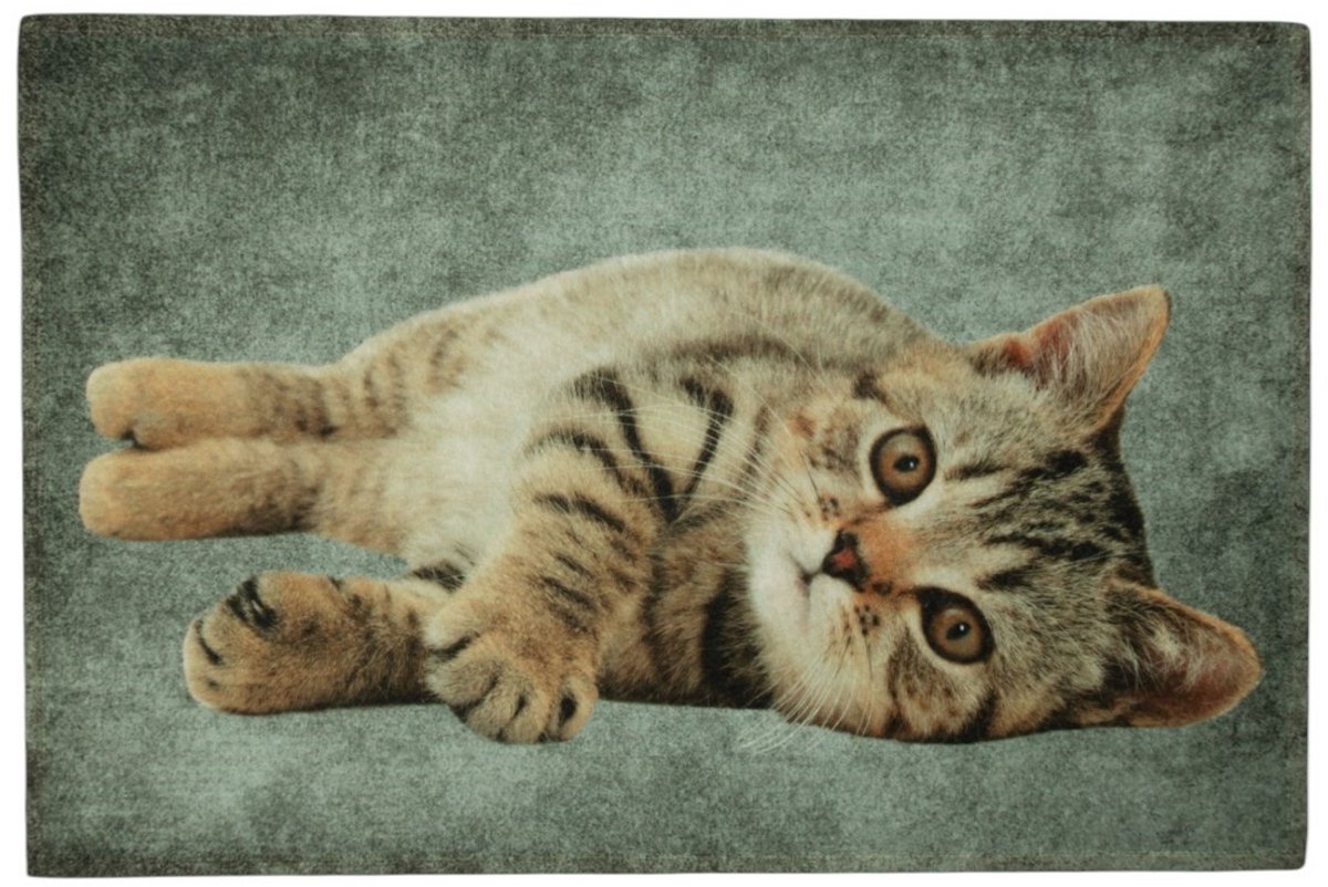deurmat grijs tabby liggend 75x50cm