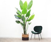 Kunstplant Strelitzia - 240cm hoog