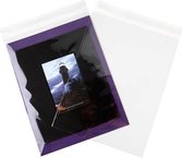 Plastiek Zakken 24.1x31.8cm Transparant en Hersluitbaar (100 stuks)
