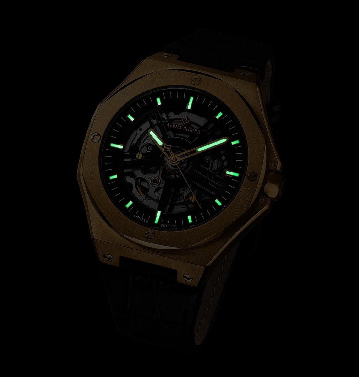 Alpha Sierra Falcon LVD188G - Goudkleurig / Zwart - Leren band -  Herenhorloge - Ø 45 mm | bol.com