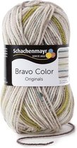 Schachenmayr Bravo Color 50 Gram - 2108