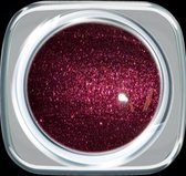 Hollywood Nails - gellak - Color gel - Magic Red 670 - 5ml - 1 stuk