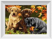 Artstudioclub®  Schilderen op nummer volwassenen 3 puppies labrador Zonder lijst